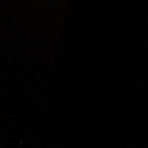 Meet your Posher, Timmy